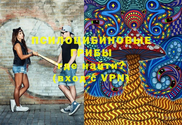 шишки Балахна